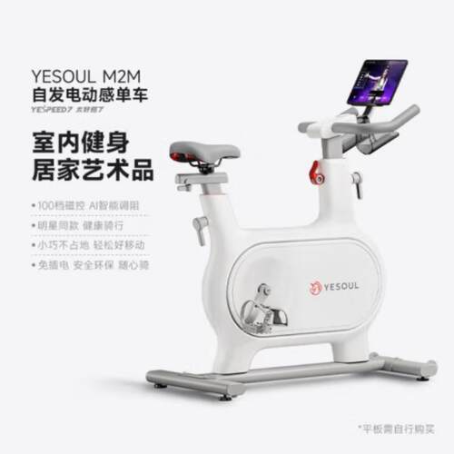 YESOUL野小兽动感单车小型静音健身器材室内运动健身车M2M