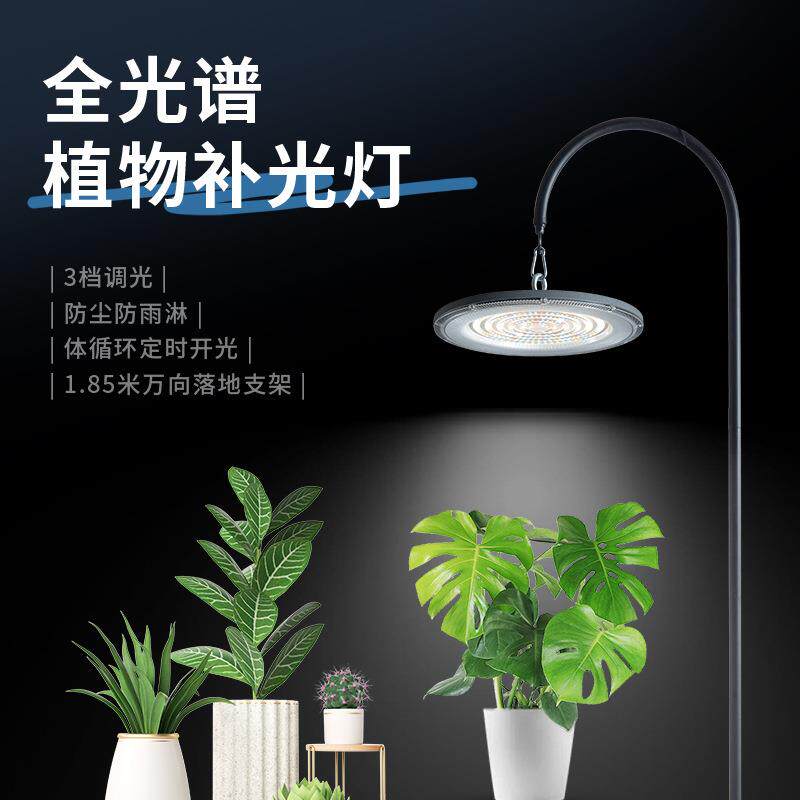 阳台太阳光植物补光灯全光谱室内兰花卉月季绿生长灯阳台植物灯