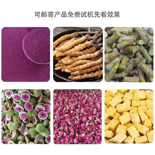 低温续干燥机3平SBJ方小 型食品冻干机 鳕冻干玫瑰花生骨肉鱼连设