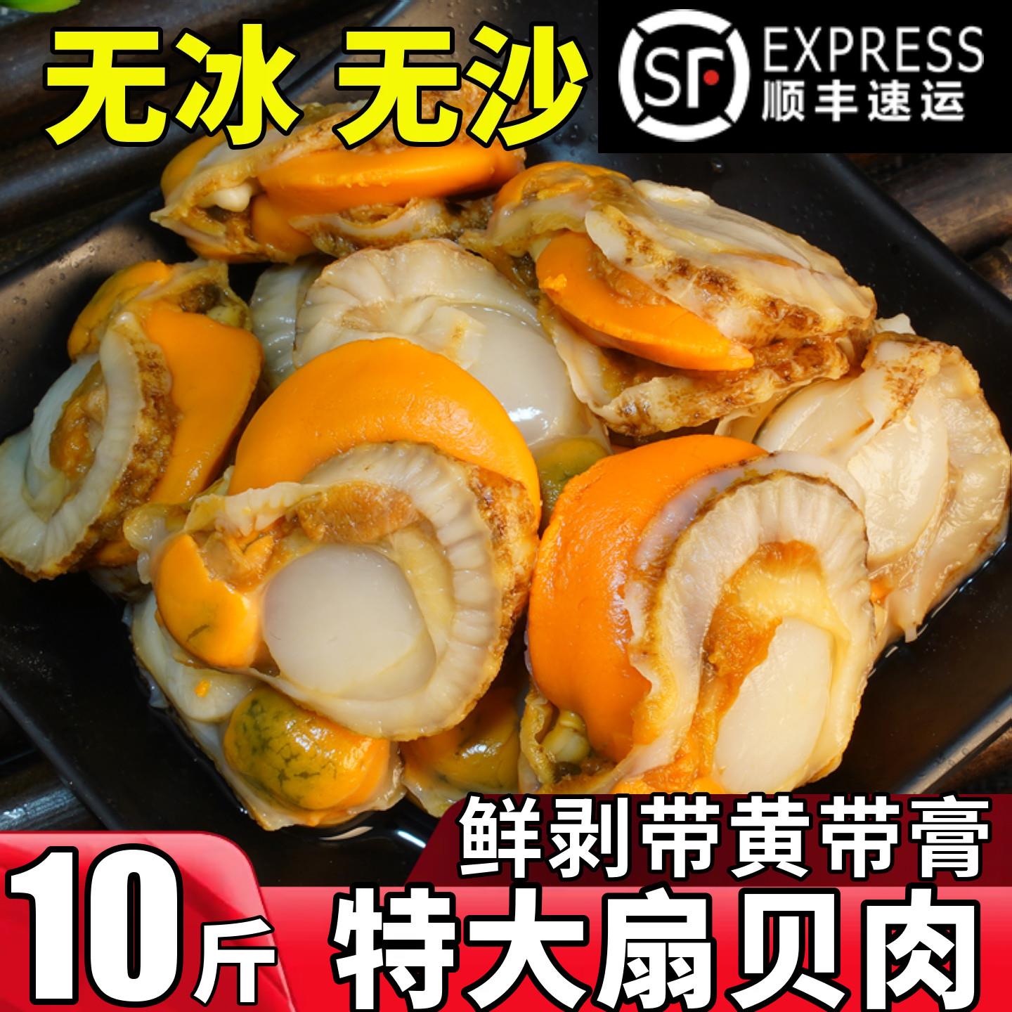 扇贝肉新鲜冷冻特级大号带黄带膏商用鲜活海鲜水产红贝黄蚬子