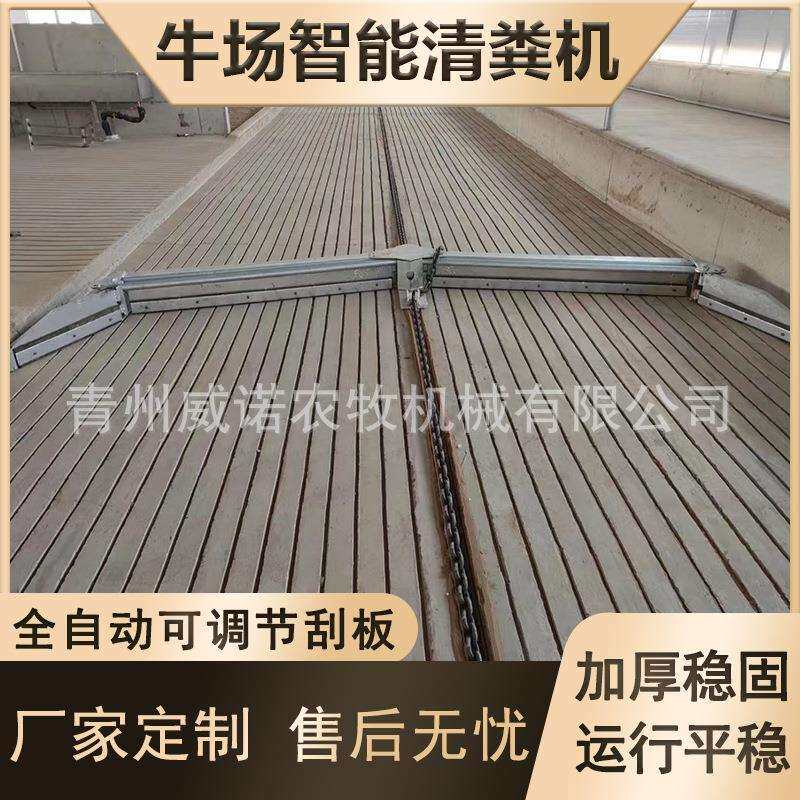 自动化刮粪机养殖场猪场刮粪板配件 一拖二不锈钢牛场清粪设备