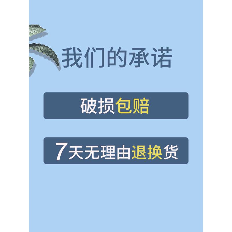 S588收纳箱带滑轮塑料大号透明书箱子衣服收纳盒整理箱家用储物箱