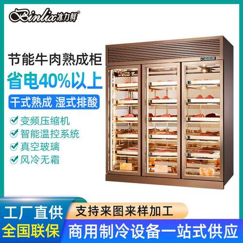 节能牛肉熟成柜商用牛排柜西餐厅冷藏冷鲜展示柜排酸柜工厂直发