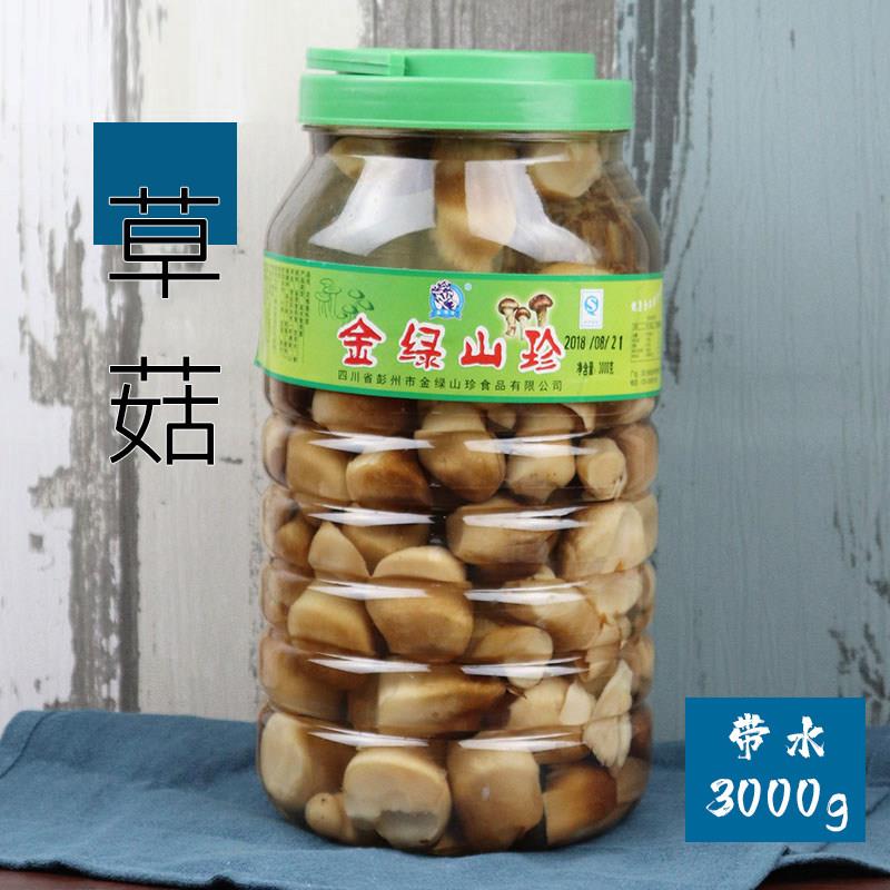 包邮3000g草菇清水食用菌新鲜山珍菌草菇滑菇桶装罐装菌