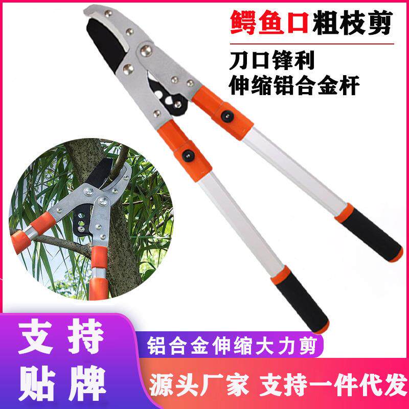 园林工具修枝剪刀果树枝粗枝剪大力剪伸缩长手柄草坪绿篱剪园艺剪