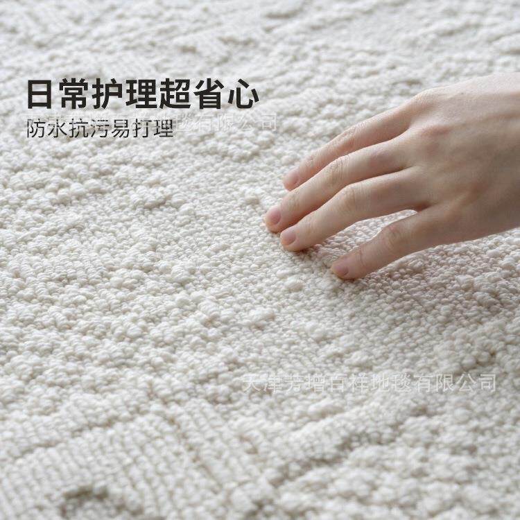 客厅地毯YX4930-5极高级设计感音奶油风水防防污高简端别墅家用隔