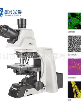 NE930研究级无限远视频电动平台正置生物显微镜相衬暗场DIC显微镜