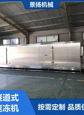 大型机商用隧道式速冻机水饺子速冻设食备馒头花卷面速包冻983厂