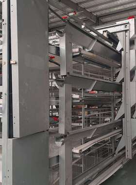 肉梯蛋鸡笼生产养鸡设备阶式蛋鸡笼鸡DNE笼家自用全动养鸡设备