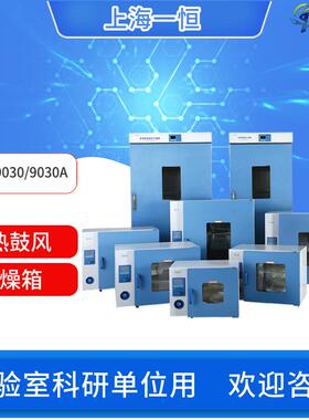 上海一恒电热鼓风干燥箱DHG-9030/9015A/9013A/9075A/9053A实验室