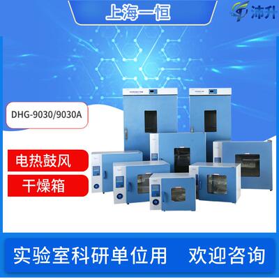 上海一恒电热鼓风干燥箱DHG-9030/9015A/9013A/9075A/9053A实验室
