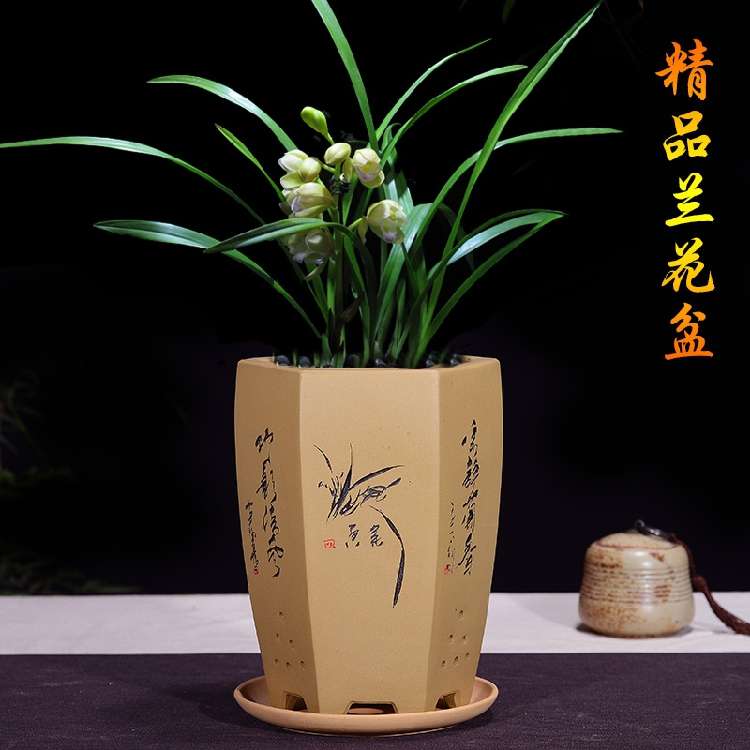 宜兴紫砂兰花盆景透气六方花盆带托盘简约紫砂君子兰陶瓷花道