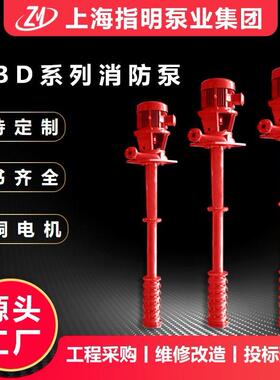 轴流泵长轴消防泵定制 离心压稳压泵 立式消防多级泵长轴深井泵