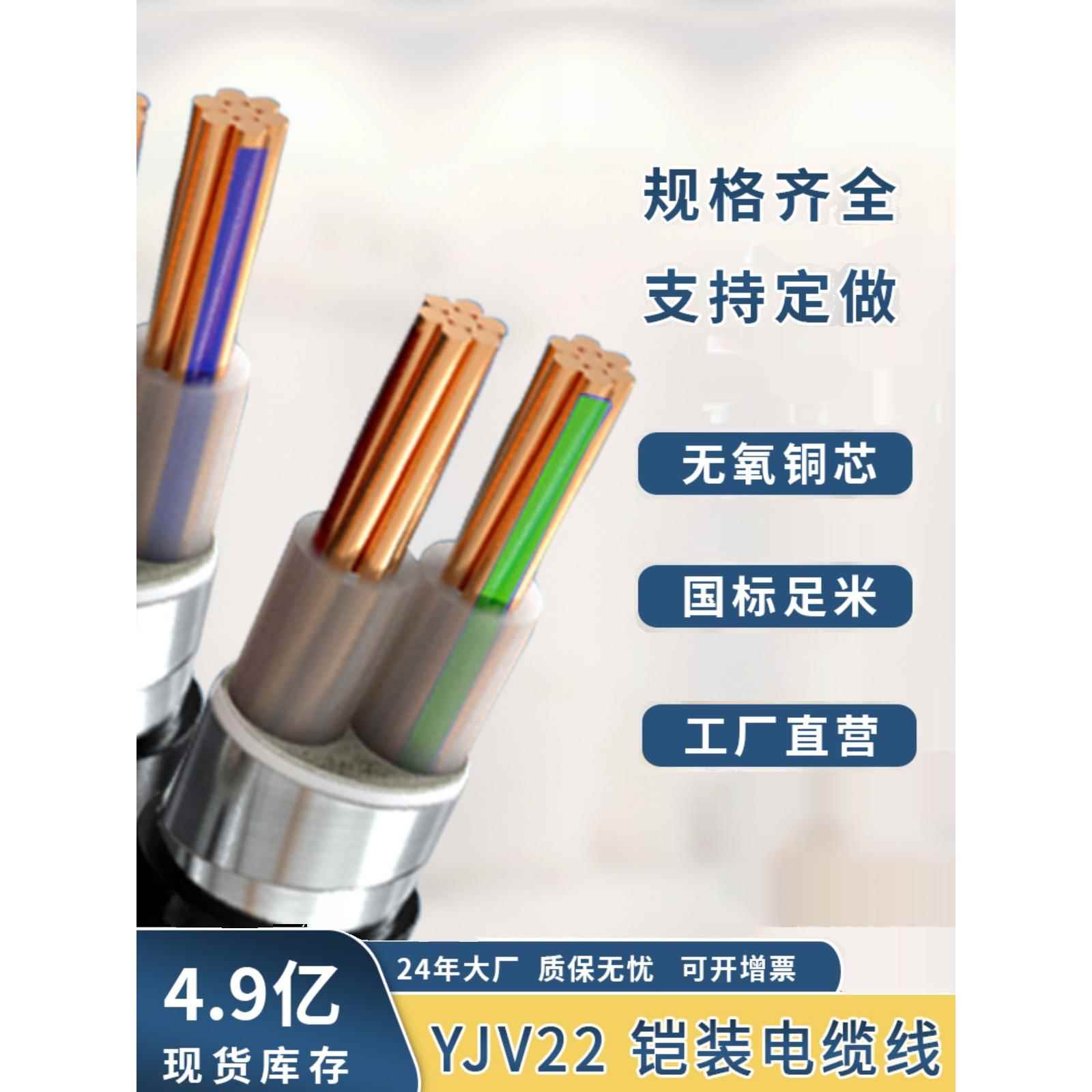 国标2芯YJV22铠装铜芯线缆2.5/4/6/10/25/35平方室外地埋电线电缆