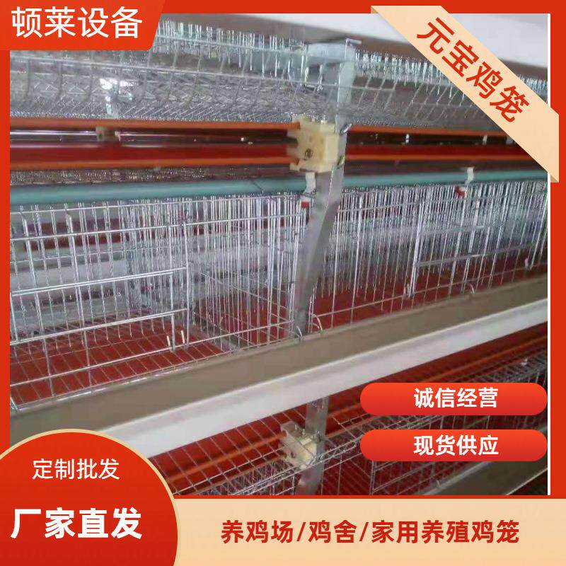 元宝笼养殖成年肉鸡笼全自动传送喂料清粪养殖厂鸡用养殖笼可外贸