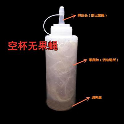 果蝇繁殖杯活体饲料螳螂跳蛛树蛙食物包邮