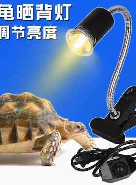 乌龟晒背灯万向灯架E陶瓷灯头UVB灯架龟缸用带夹子美规日规插头