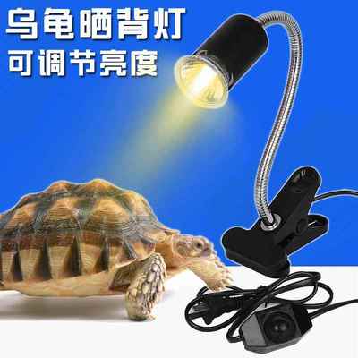 乌龟晒背灯万向灯架E陶瓷灯头UVB灯架龟缸用带夹子美规日规插头