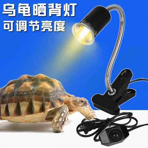 乌龟晒背灯万向灯架E陶瓷灯头UVB灯架龟缸用带夹子美规日规插头