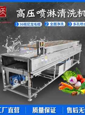 水果清洗风干分选榨汁设备生产线 毛辊清洗机带高压喷淋装置厂家