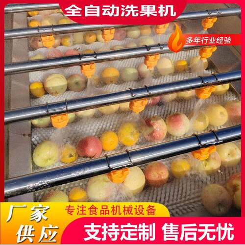 商用桃子毛刷清洗机青梅毛辊清洗机全自动洗果机果蔬清洗风干一体