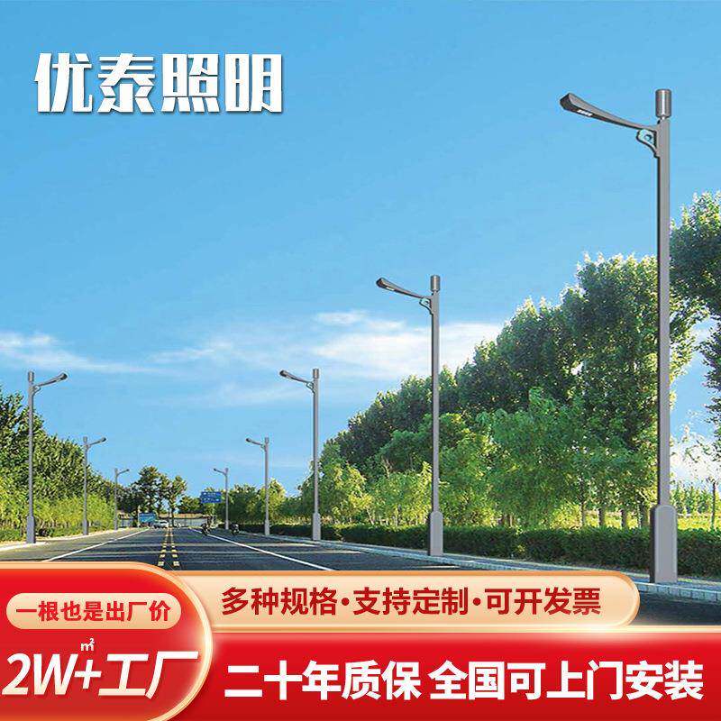 瑞彩祥云路灯厂家直销6米8米10米景观路灯户外防水led路灯