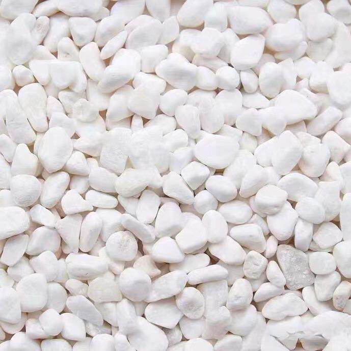 天然白石子铺路造景天然鹅卵石雨花石鱼缸园艺装饰多肉铺面