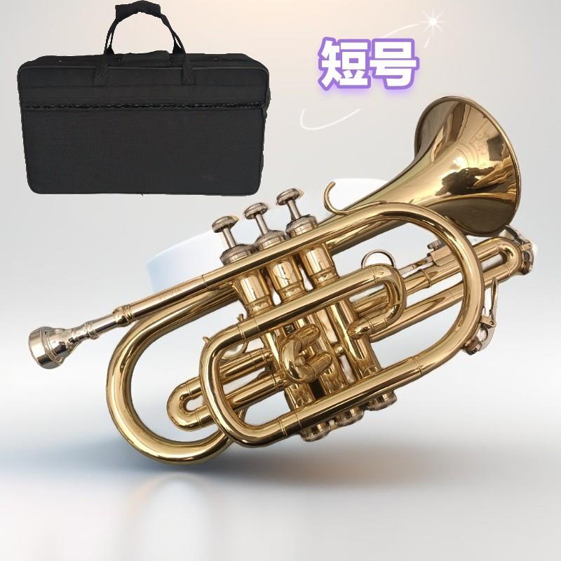 宫泽风短号乐器漆金小号乐器降B调专业演奏乐队初学者学生