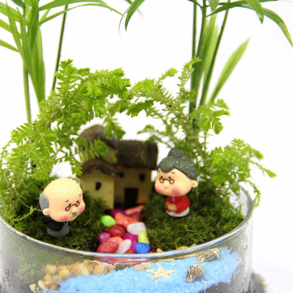 礼品活批发1 合景观 微2苔藓 套装生日瓶创意礼品情人植物圆球