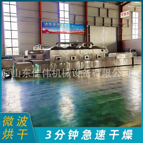 隧道式化杂粮熟化微米波干连燥机全ZLS-60自动续式淀粉黑熟烘干机