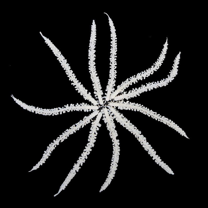植物塑料毛毛虫水族草墙盆栽花盆成品插花小配件藤蔓家居装扮绿植