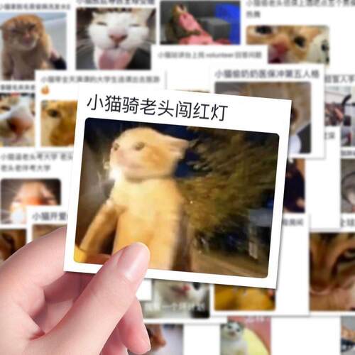 124张坏猫贴纸猫咪meme表情贴纸搞笑沙雕精神状态手机装饰贴画diy