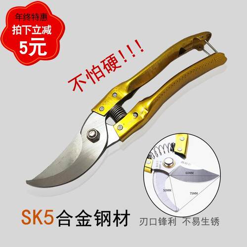 杀甲鱼剪骨头专用剪刀家用剪鸡骨鸭骨强力剪多用修剪树枝花枝省力