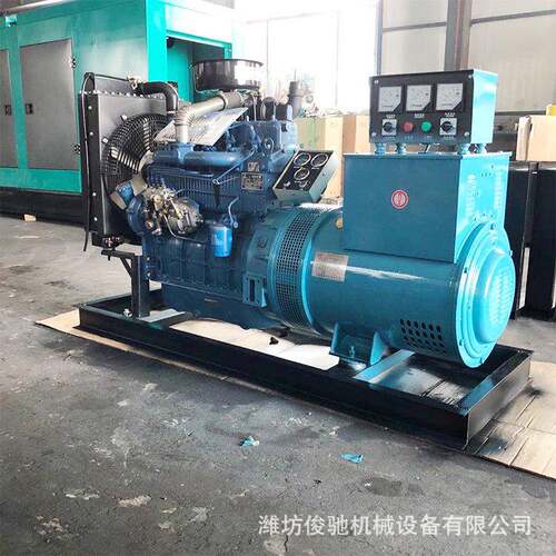 潍坊40千瓦发电机组养殖场用滑雪场柴油发电机组应急发电机