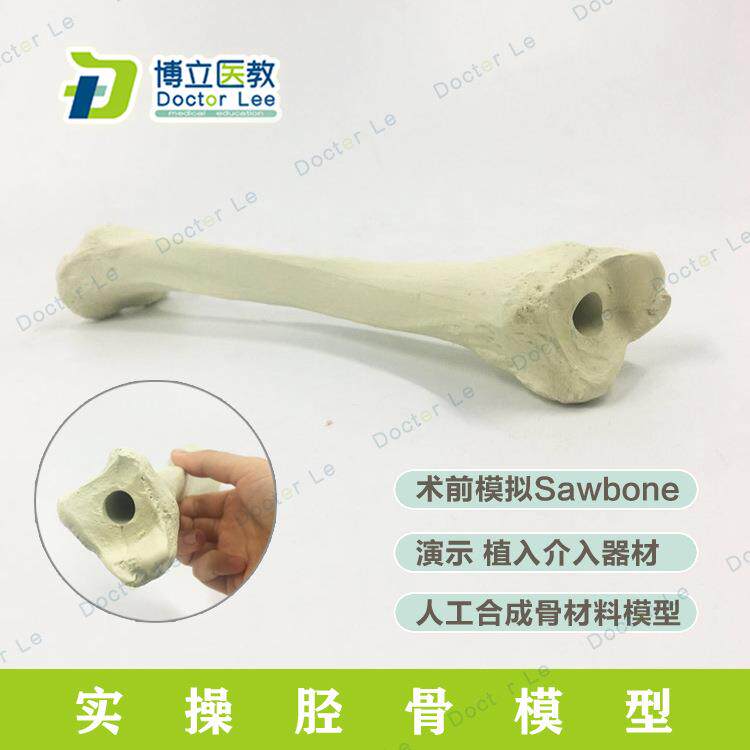 胫骨模型仿真骨演示骨科术前Sawbone人工合成骨模型胫骨骨科植入