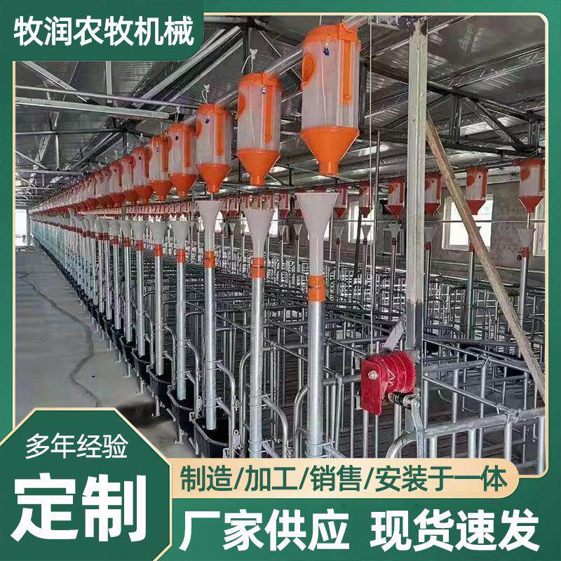 猪场自动上料系统喂料养殖设备料罐饲料桶料线热镀锌板存料塔