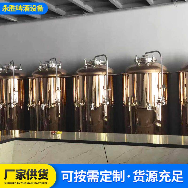 工啤酒设备 欧维斯精酿手酒设免费备 发酵罐啤500酒自啤酿设备