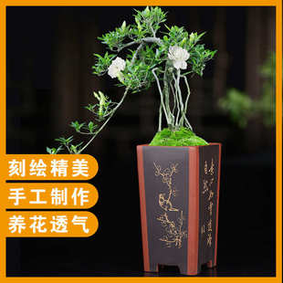 紫砂花盆精品签筒悬崖文竹老庄兰花盆刻绘古红泥园艺桌面绿植