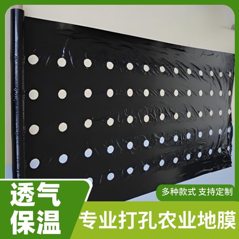 农用加厚打孔银黑地膜辣椒番茄大蒜保湿羊肚菌专用除草开孔黑地膜
