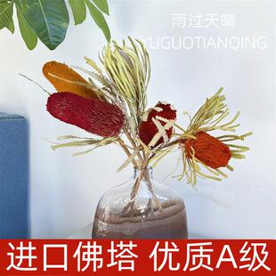 南非班克木佛塔干花贝克斯植物花束班克木干花家居装饰北欧复古风
