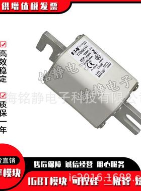 170M4762 170M4763 170M4764 170M4765熔断器巴斯曼