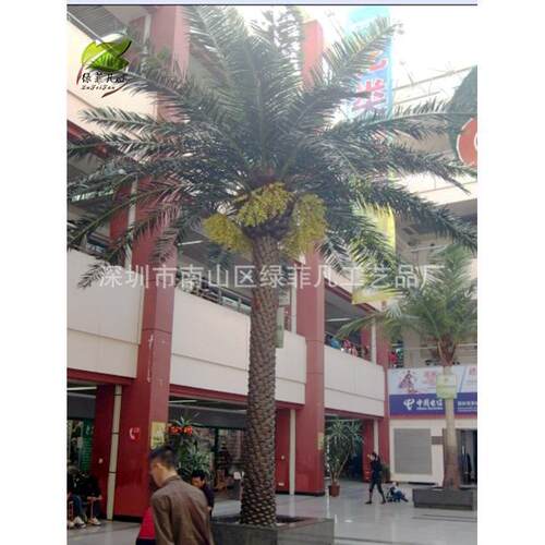 室内海枣树 工程景观广场酒店装饰树各种假树可