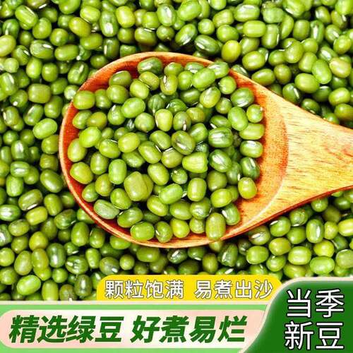 新货绿豆五斤新鲜农家五谷杂粮颗粒饱满绿豆饼绿豆糕原料绿豆汤