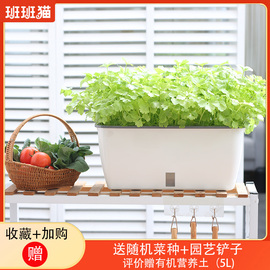 阳台种菜盆家庭必备专用神器自吸水便捷多功能种植箱懒人塑料花盆