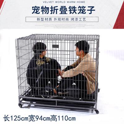 镀锌款金毛拉多笼加粗加重折叠狗笼超大型大中型犬笼狗场专用笼子