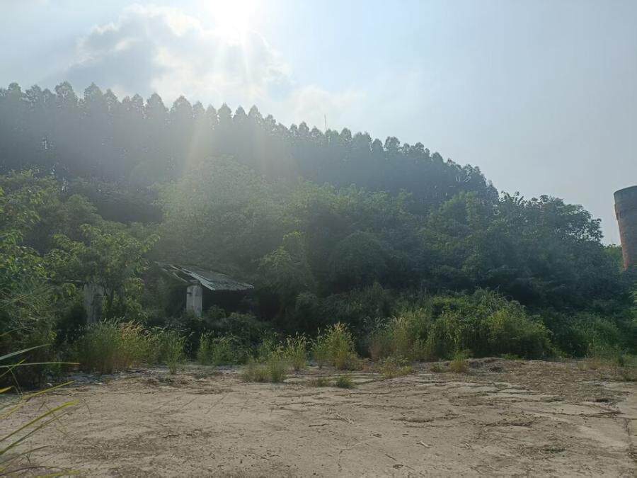 4月5日眉山市厂区原矿山井口土地使用权及地面建筑物网络拍卖公告