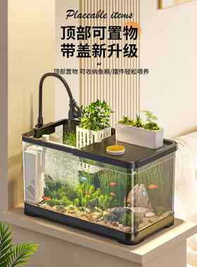 鱼缸小客厅2024新景观生态池过滤器氧气发生器金鱼底过滤系统成套