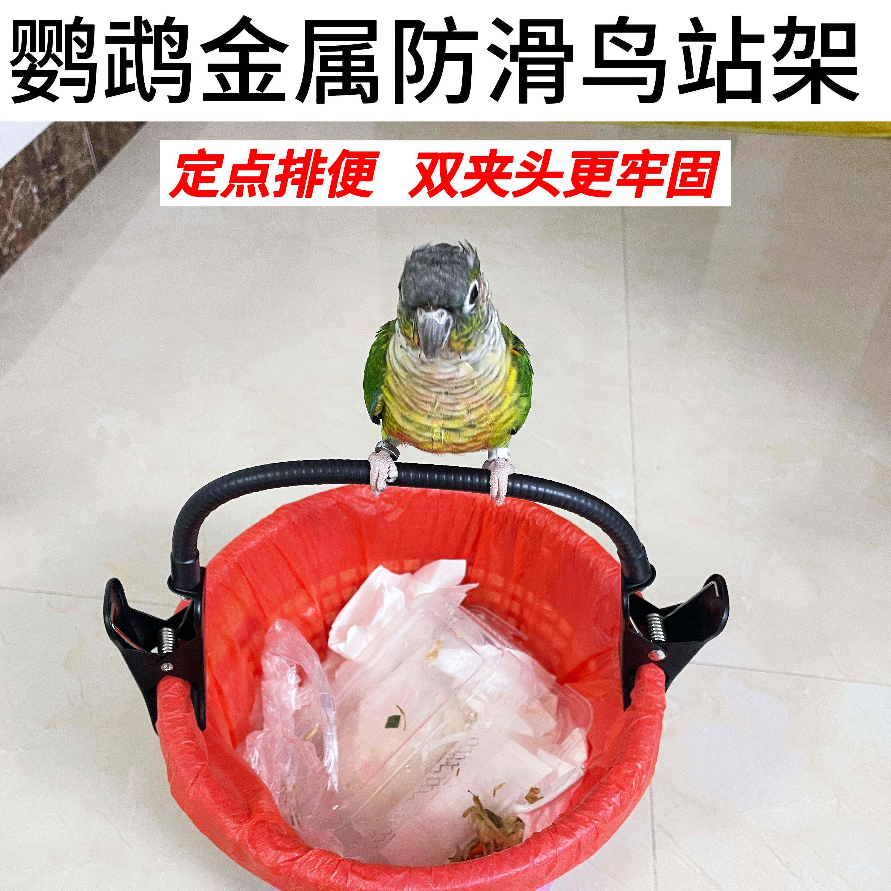 日本鹦鹉垃圾桶站杆站架双夹定点排便玄凤小太阳和尚拉屎站架训练