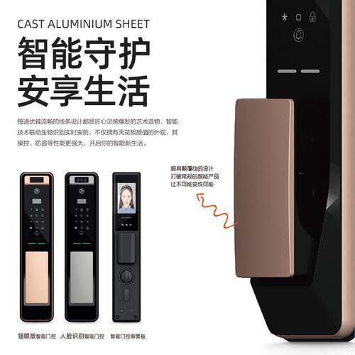 铸门别墅大现代子母庭院门农村自建NPZ房铝合门金入铝户门爆防对