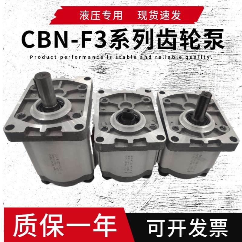 高压齿轮泵 CBN-F304 F306 F310 F314 F316 F320 F325 E 液压油泵